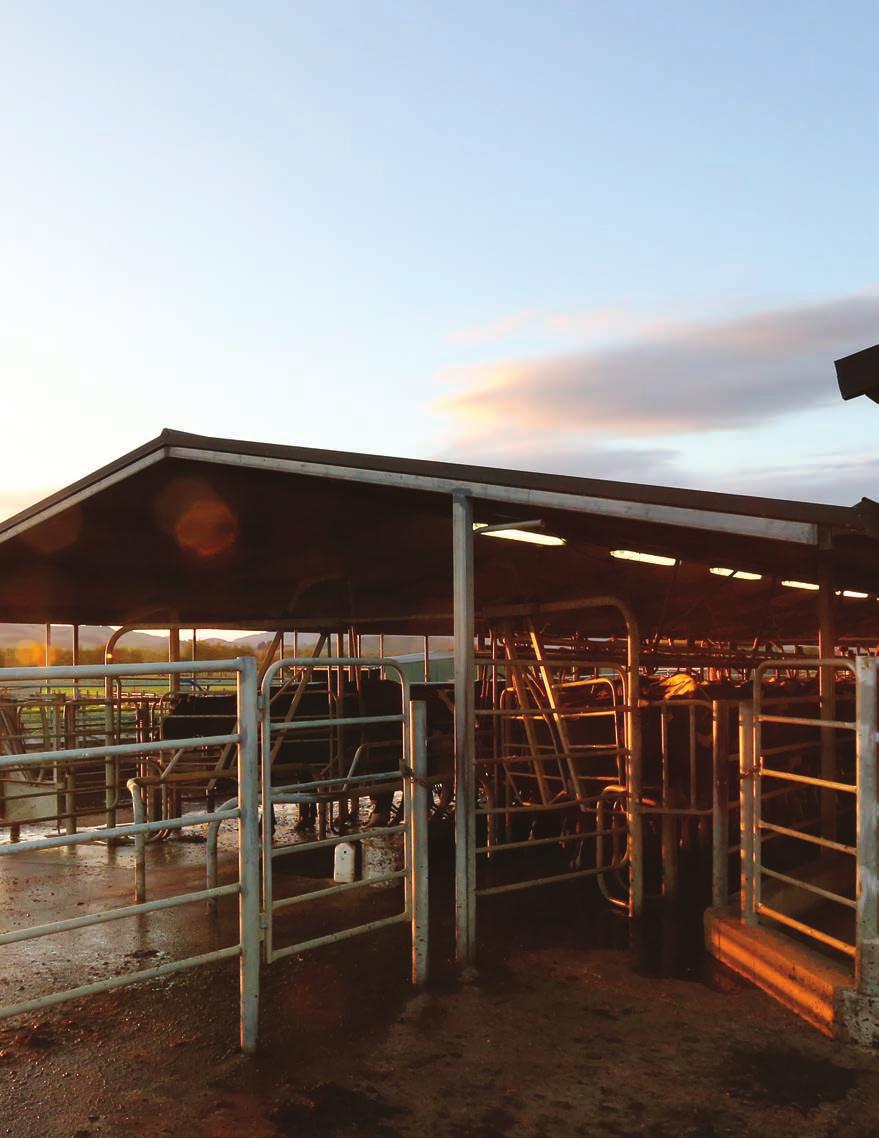 INTRODUCTION Welcome to Milksmart in Action 20. The goal of Milksmart is to work smarter not harder. Our chosen metric for milking efficiency is: kilograms of milksolids harvested per hour worked.