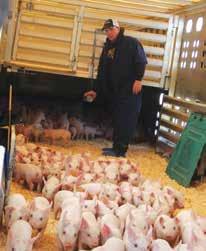 TQA was developed by the National Pork Board to help swine transporters, producers and handlers understand how to handle, move and transport pigs and the potential impacts of those actions on pig