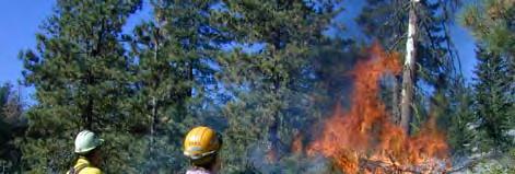 Effects of the Focus on Fire Suppression: Costs vary widely but general trends are
