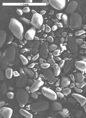 SEM microgrphs of: () pristine LiBOB smples; () LiBOB fter heting to 350 C. A scle ppers in ech microgrph.