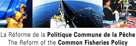 EC Common Fisheries Policy 2002 reform Effort reduction Regional