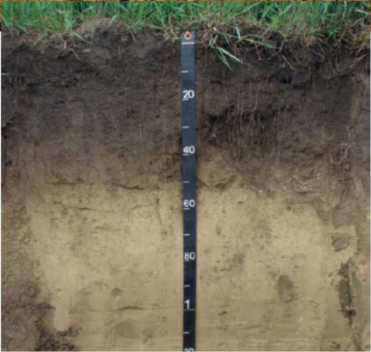 RESEARCH on Soil Carbon What are the limits to sequestering C in different soils?