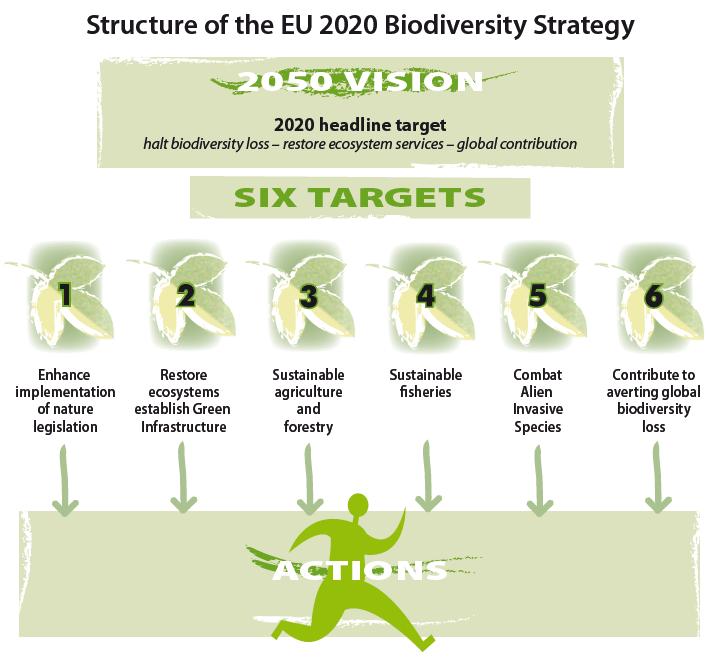 EU 2020 Biodiversity