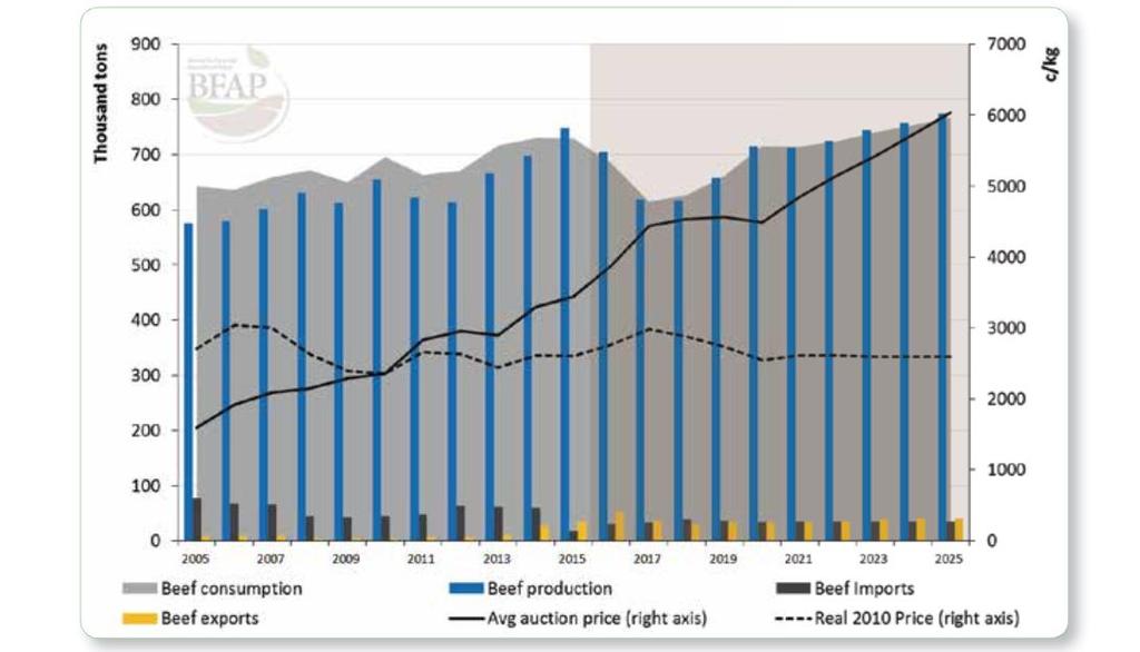 SOUTH AFRICA BEEF PRODUCTION, CONSUMPTION AND PRICE -