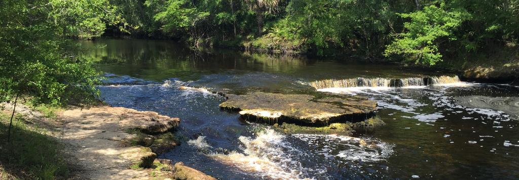 INTRODUCTION I. Introduction The Suwannee River Water Management District (District) is required by section 373.99(7), Florida Statutes (F.S.), to annually update the Florida Forever Five-Year Work Plan.