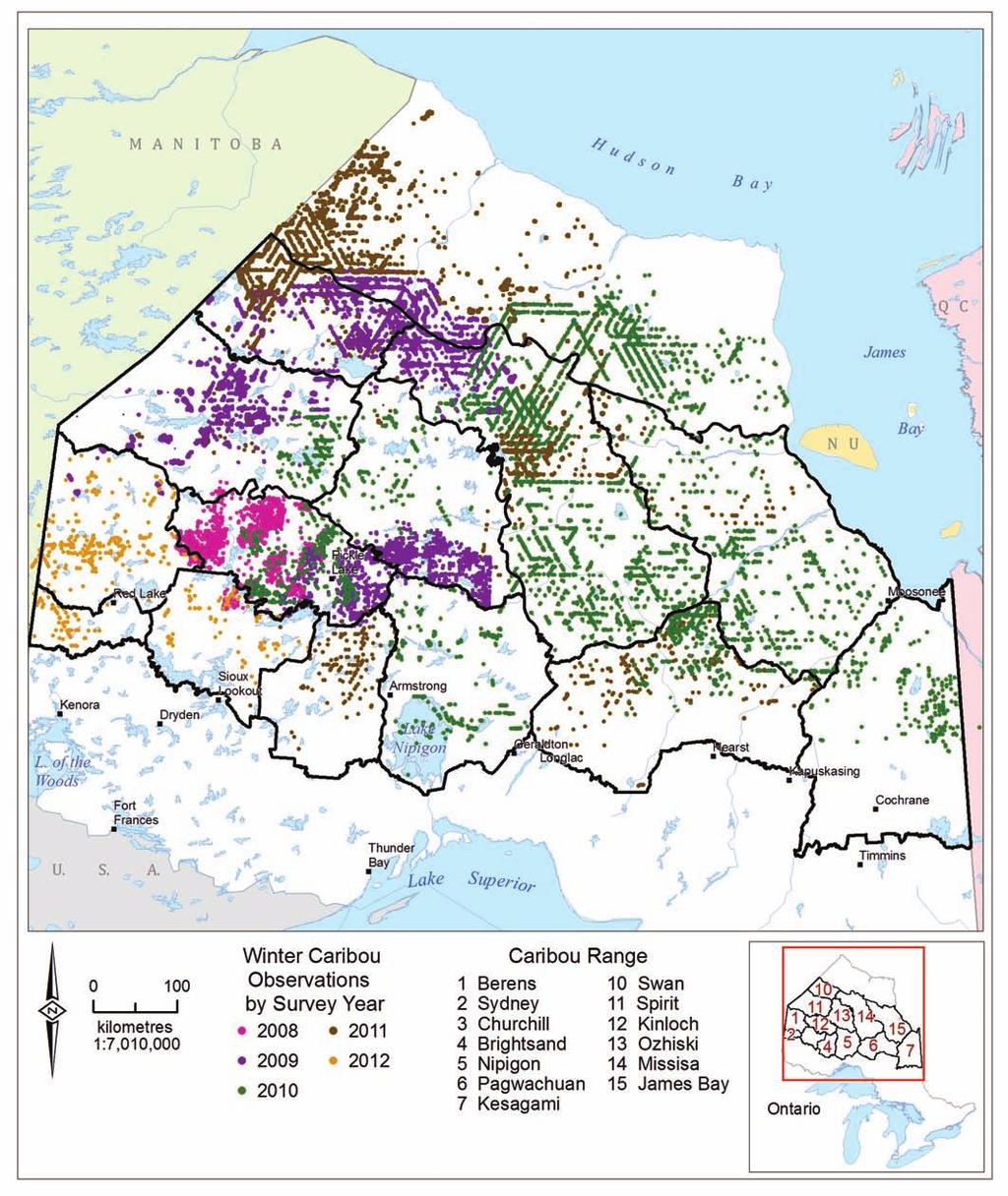 Figure 2-4. Caribou observations from the two-stage winter distribution surveys (2008 to 2012).