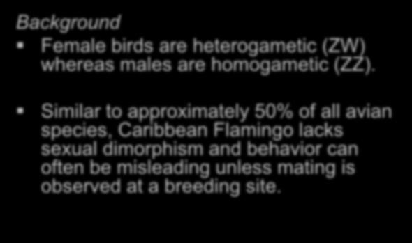 2. Avian Gender Determination Background Female birds are heterogametic