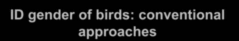 ID gender of birds:
