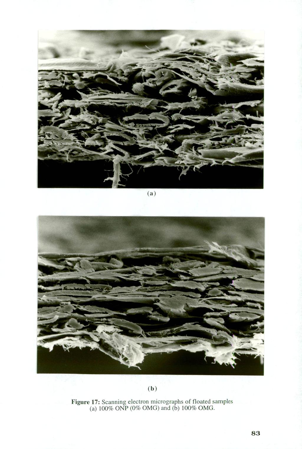 (b) Figure 17: Scanning electron micrographs of