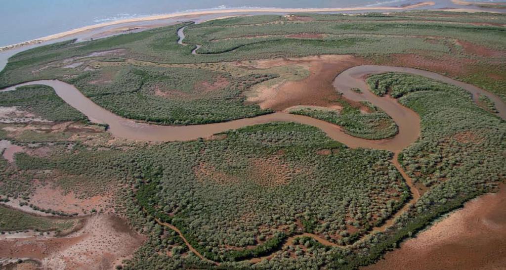 Wheatstone Project 6.0 Overview of Existing Environment Within the nearshore Project area, mangroves occupy the mainland intertidal zone between mean sea level (MSL) of 1.