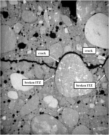 Figure 6: Crack width distribution in concrete specimen by micro-computed tomography Figure 7 shows the distribution of macro-voids in the cracked concrete specimen which were divided into