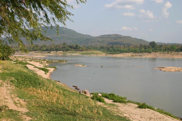 upstream of Sanakham dam site Figure 10: Riparian vegetation around the Ban Koum dam site