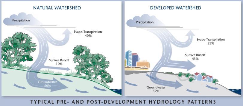 Urbanization Changes the Hydrologic Cycle Stormwater runoff