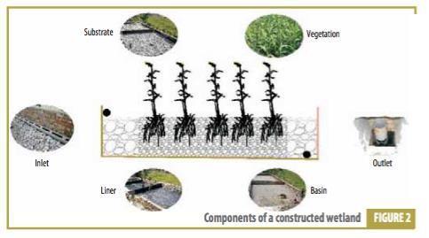 What is a Constructed Wetland?
