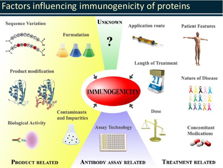 Immunogenicity The ability of a particular substance, such as an antigen or epitope, to provoke an immune response in the body of a
