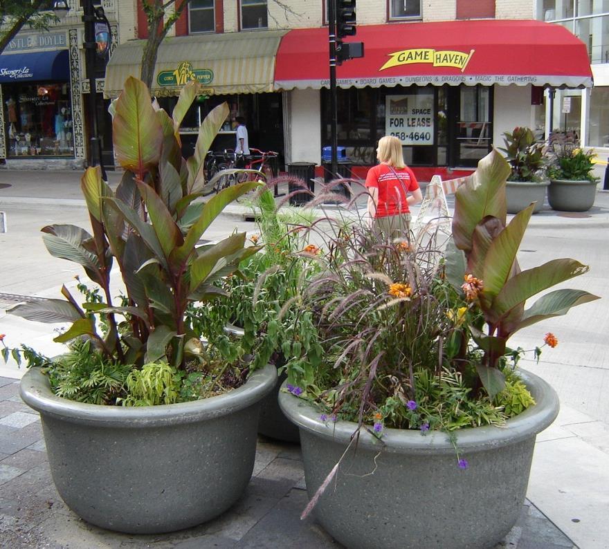 Plantings and care, over and above basic city services BID funds plantings in 100+ downtown
