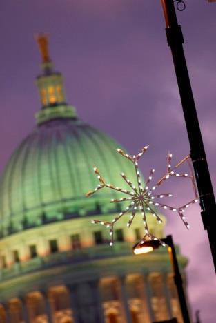 Seasonal Lighting 250 Winter Snowflake Lights throughout the District In 2015 the BID upgraded lamps, refurbished fixtures with support of GSSBA, MGE