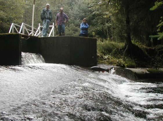 Strategies and Techniques for Fish Passage Design at Irrigation