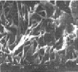 As far as SEM s are concerned, micrograph (a) is of ZnSe (486 A o ) and micrograph (b) is of CdS 1-x Se x (x =.1, 1863 nm).
