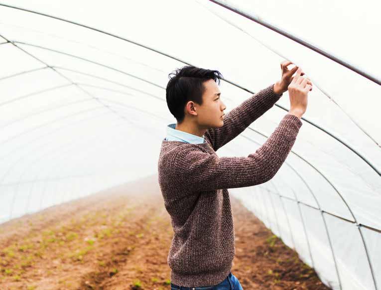 When we deliver an agriculture solution, we see more than a greenhouse, we see