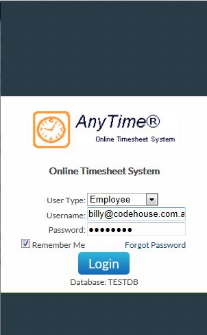 the web address required to access your Company s Online Timesheet System.
