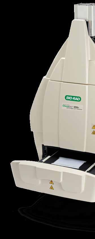 Solve Complex Biological Questions with Simple and Reliable Imaging For more than two decades, Molecular Imager systems from Bio-Rad have been widely recognized and trusted high-quality imaging