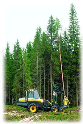 Productivity of a Ponsse Ergo Harvester Working on Steep Terrain M. Chad Bolding and Dr. Bobby L.