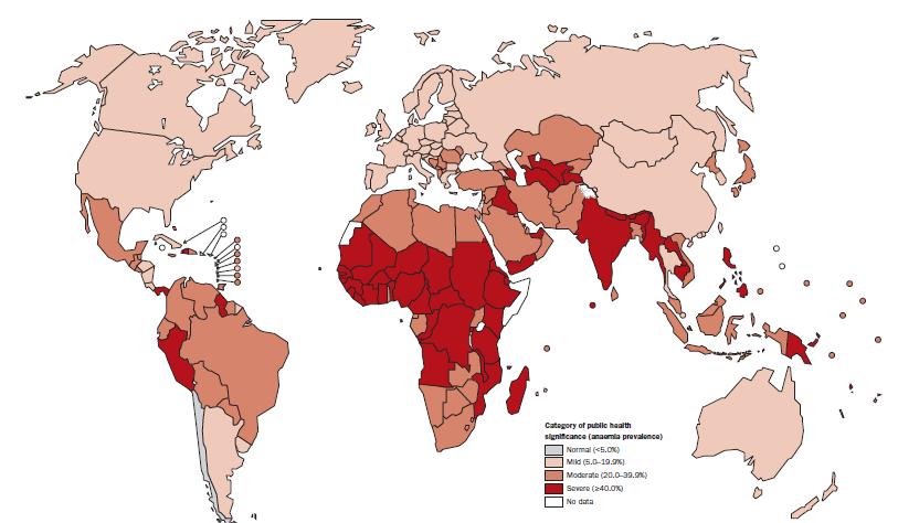 High global prevalence of anemia in children and women In some countries, anemia prevalence is significantly higher Any anemia has health and productivity consequences Global Burden of Anemia in