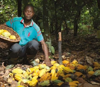 Crisis in cocoa Farmers of many crops live under the poverty line, and aren t able to earn a living income.