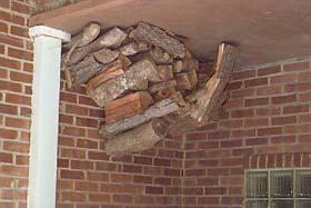 Termites will use the stack as both a food source and a way to enter a house unseen.