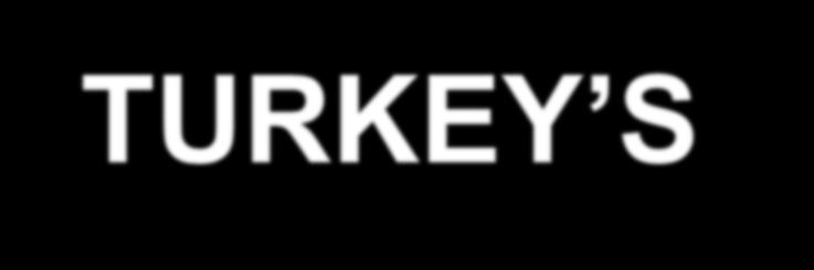 TURKEY S
