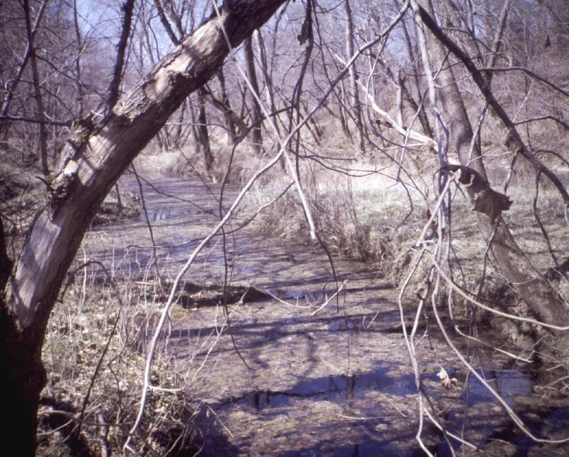 THE STREAM CHANNEL Most Missouri streams meander as they move down the valley. They show two basic habitat types: pools and riffles.