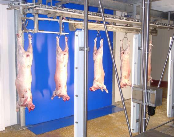 Evaluation of carcass quality using MLC s carcass classification scheme for conformation and fat class scores (MLC-CF) has been an important tool for ensuring fair payment to producers and it also