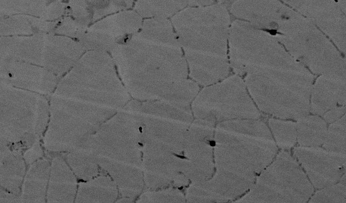 SEM BSE pictures of FeTi sample: a) as cast, and b) after homogenization Results of spot