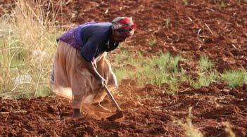 On Agriculture Agricultural production and food security are likely