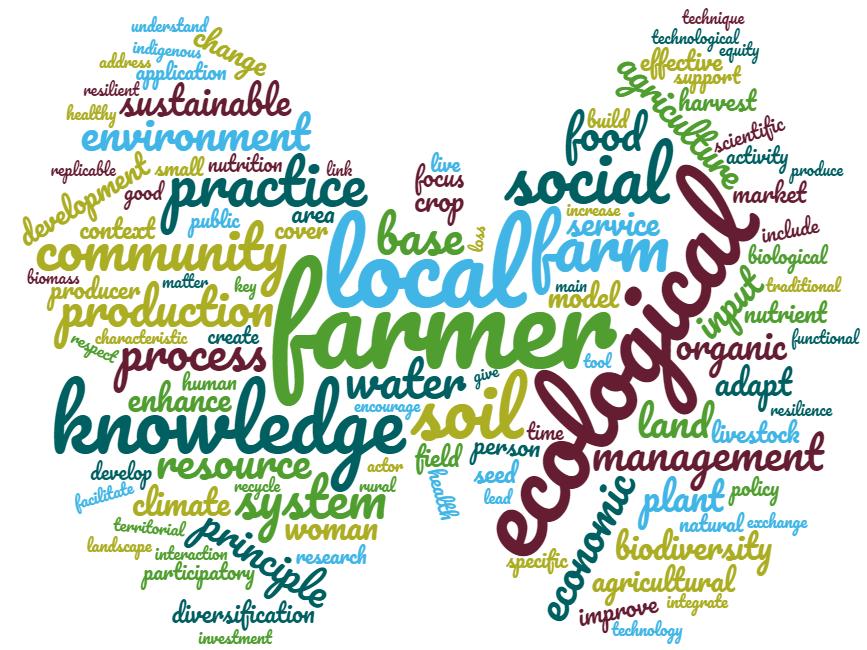 Promoting technical, social and institutional innovations Innovation systems at the center of the debate in agricultural paradigms Promoting innovation for sustainable agriculture is not just