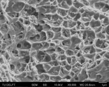 Sub-micron carbides Pores Un-melted particles dispersive spectroscopy