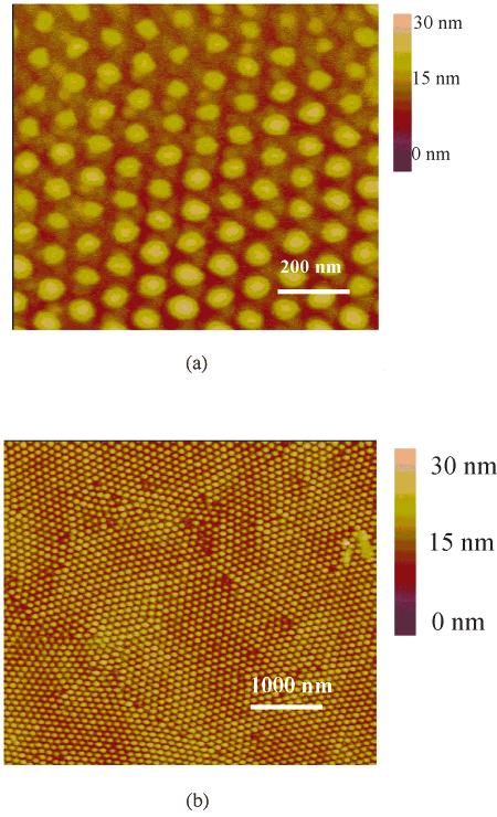 Figure 2. AFM images of hexagonally ordered array of alumina nanopores fabricated by anodization in 0.3 M oxalic acid at 10 C, viewed from the top (Al metal is below the plane of the image).