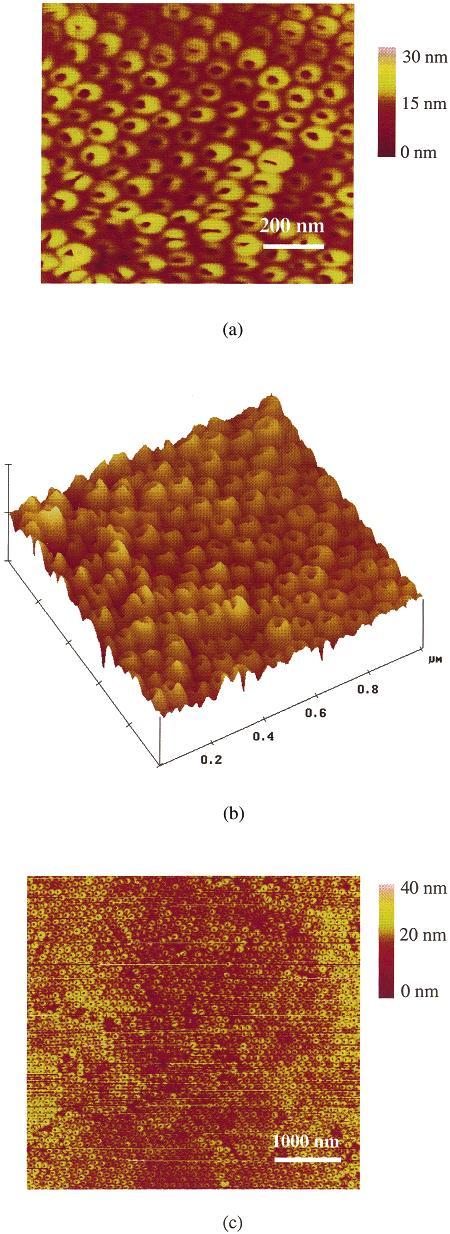 Figure 6. Results of longer term Ar + ion milling: AFM image of the barrier layer (bottom view), after 35 min Ar + milling. (a) Scale, 1 µm 1 µm; (b) scale, 5 µm 5 µm. Huaming Jiang, Dr.