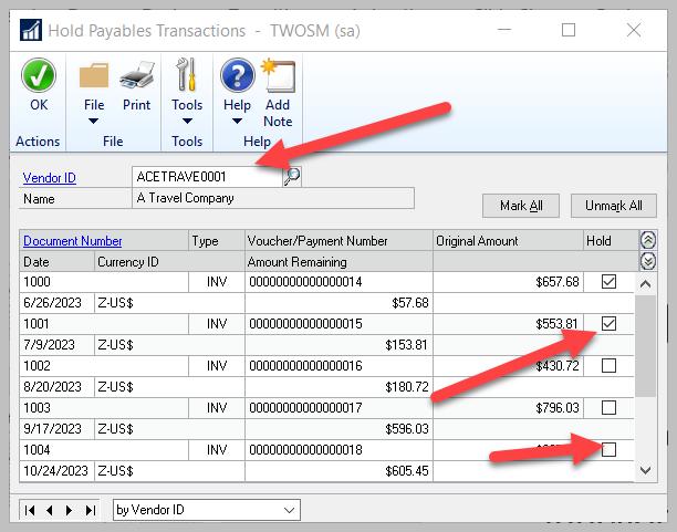 Invoice Holds Instead of ALL vendor transactions Put