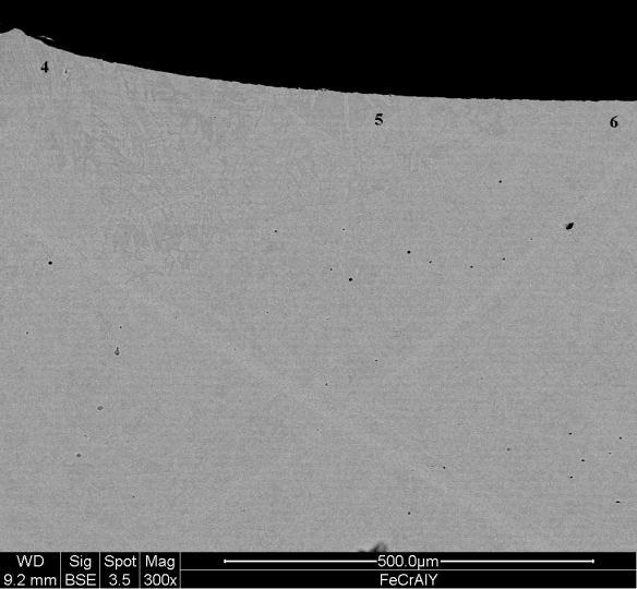 3.2 Microstructure and composition of elements after laser remelting In the Fig. 2 the cross section of the FeCrAlY coating remelted by parameters referred as T1 (Tab.4) is shown.