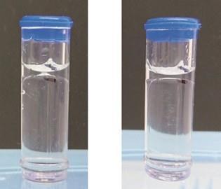Capillary Electrophoresis Column: 20 cm effective length (30 cm total, 50 µm ID bare fused silica capillary (EZ-CE Capillary Cartridge)) Separation gel buffer: HR Sample storage temp: 25 C Separation