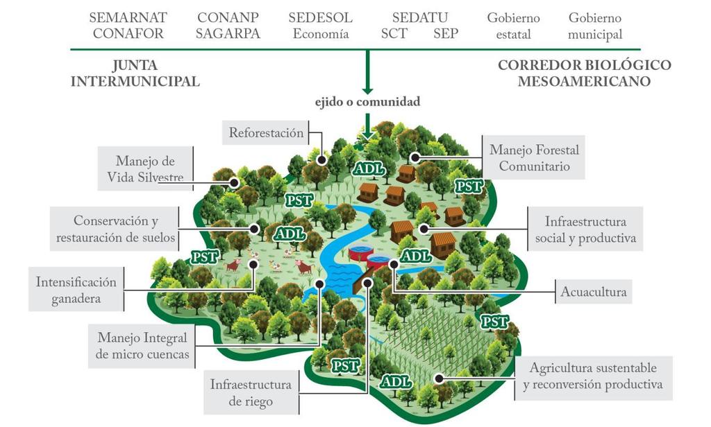 INTEGRATED MANAGEMENT OF THE LAND INTERMUNICIPAL BOARD Management of wildlife Reforestation ejido or community MESOAMERICAN BIOLOGICAL CORRIDOR Community Forestry Management Conservation and