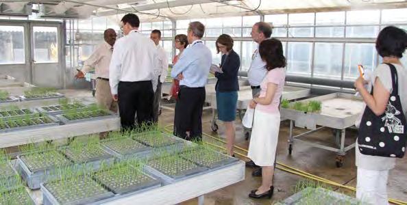 Plant test and growth: a modular greenhouse to grow and test a wide range of crops in multiple environments important to Member States; ii. iii.