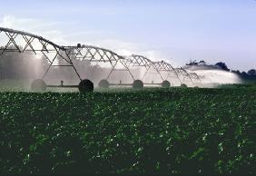 Irrigation requirement Irrigation requirement = crop requirement effective rainfall Grey footprint volume of polluted fresh that associates with the production of a product in its full supply-chain.