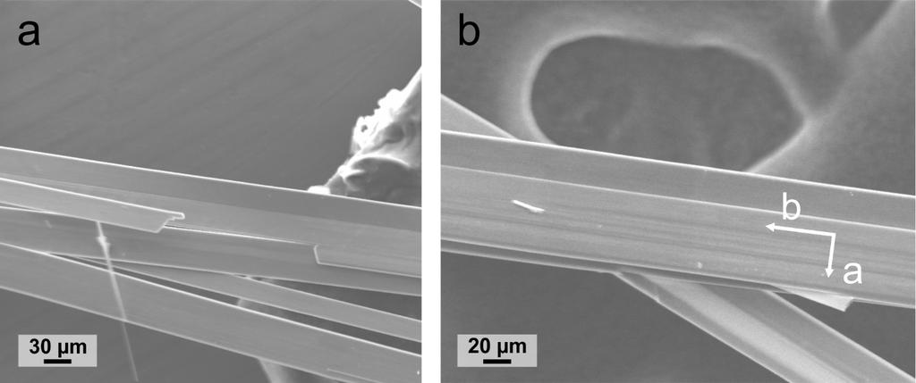 Figure S5. SEM images of TiS3 whiskers.