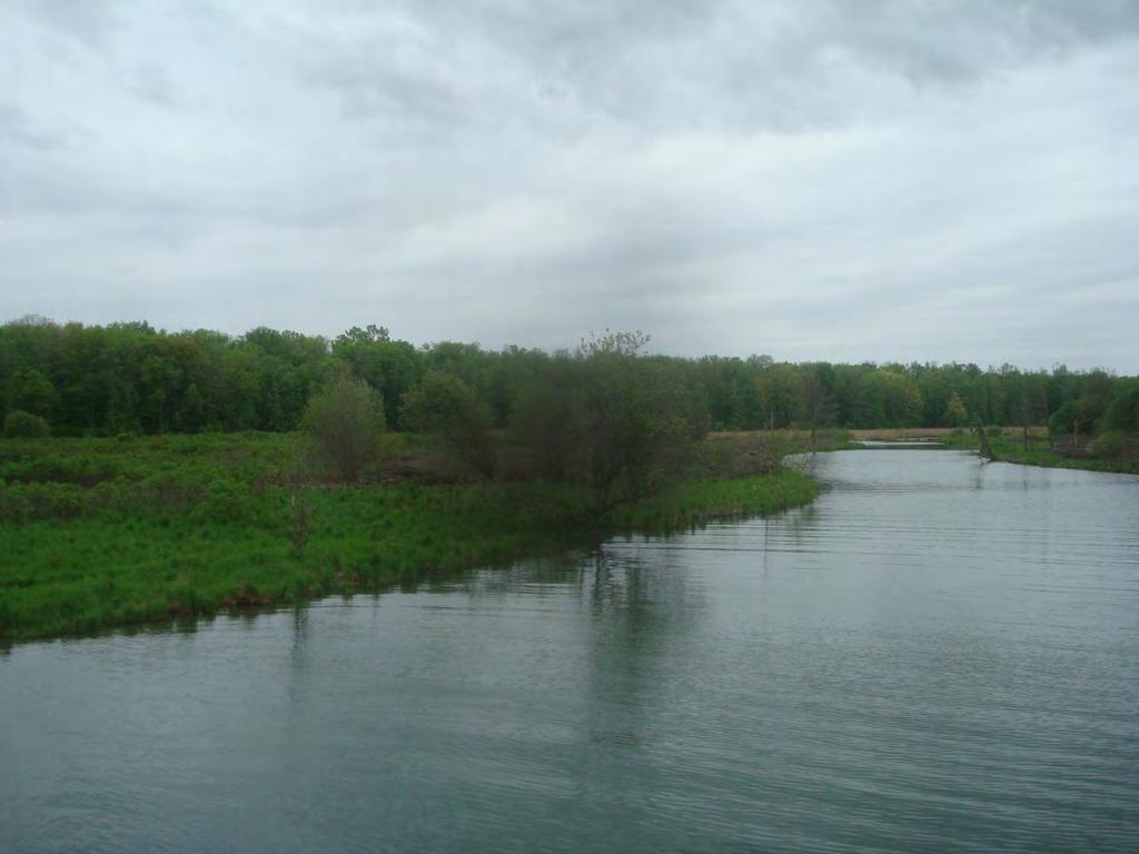 Examples of wetland