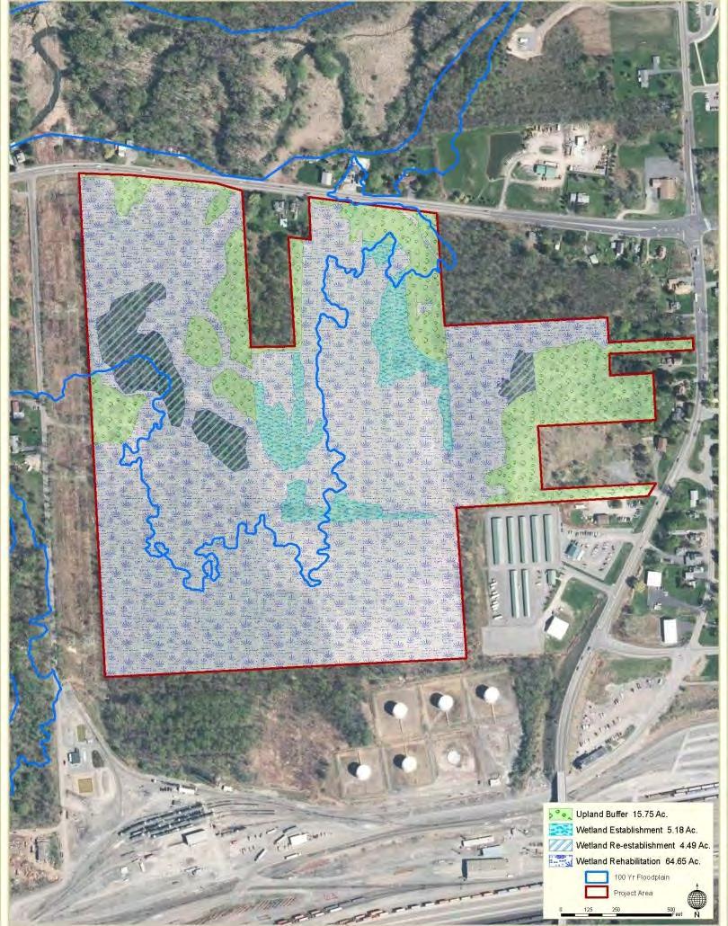 Restoration Opportunities Most of the area in the proposed mitigation bank site is in wetlands.