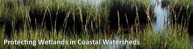 Contact Us Water: Wetlands You are here: Water Our Waters Wetlands Coastal Wetlands Coastal Wetlands About Coastal Wetlands Coastal Wetlands Initiative Managing Stressors Tools & Links About Coastal