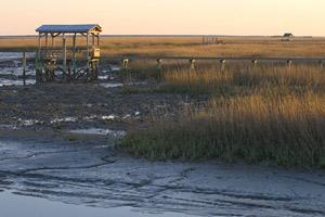 Carbon Sequestration: Certain coastal wetland ecosystems (such as salt marshes